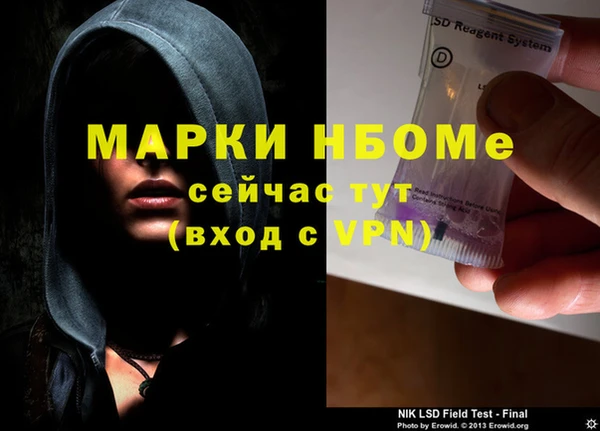 индика Гусь-Хрустальный