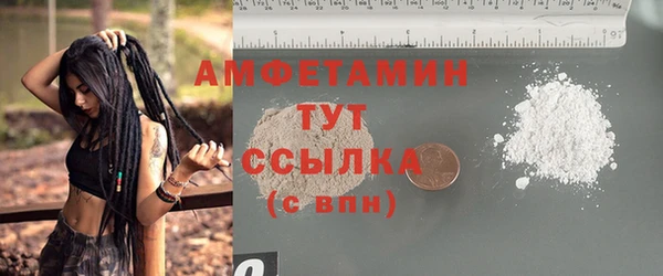 ПСИЛОЦИБИНОВЫЕ ГРИБЫ Гусев