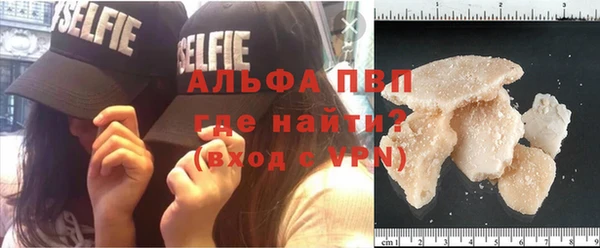 индика Гусь-Хрустальный