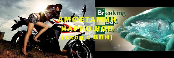 индика Гусь-Хрустальный