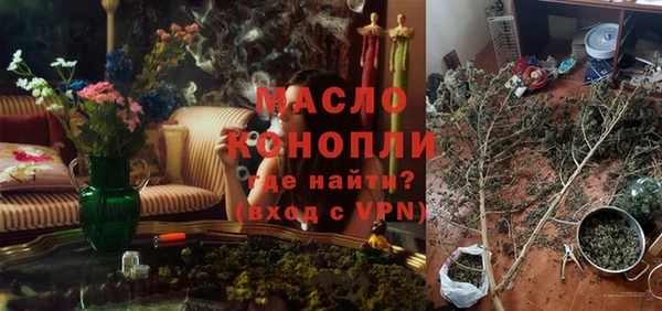ПСИЛОЦИБИНОВЫЕ ГРИБЫ Гусев