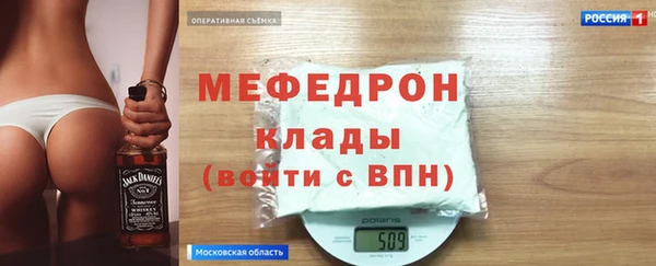индика Гусь-Хрустальный