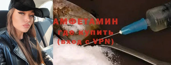 индика Гусь-Хрустальный