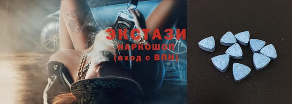индика Гусь-Хрустальный