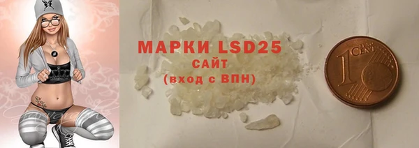 ПСИЛОЦИБИНОВЫЕ ГРИБЫ Гусев