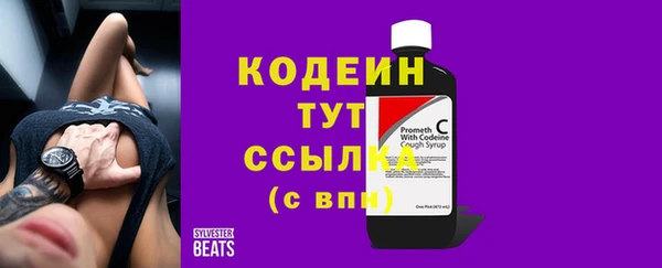 ПСИЛОЦИБИНОВЫЕ ГРИБЫ Гусев