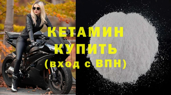 прущие грибы Гусиноозёрск
