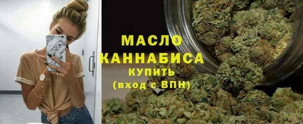 прущие грибы Гусиноозёрск