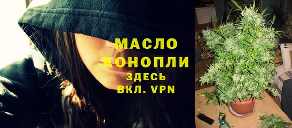 прущие грибы Гусиноозёрск