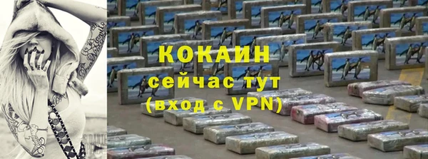 индика Гусь-Хрустальный