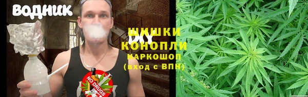 ПСИЛОЦИБИНОВЫЕ ГРИБЫ Гусев
