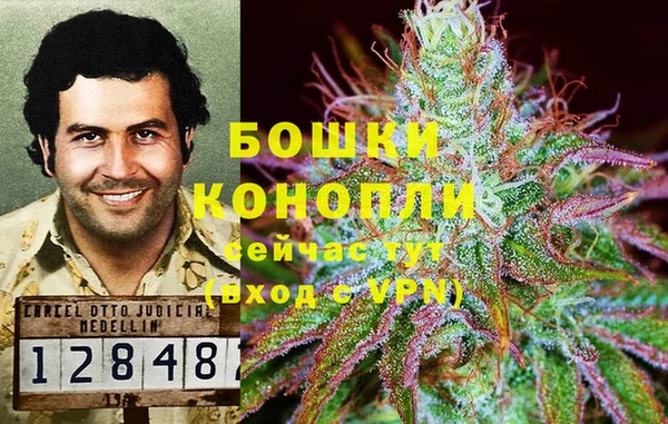 индика Гусь-Хрустальный