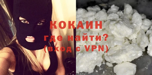 ПСИЛОЦИБИНОВЫЕ ГРИБЫ Гусев