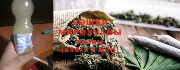 ПСИЛОЦИБИНОВЫЕ ГРИБЫ Гусев