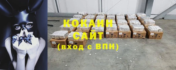 прущие грибы Гусиноозёрск