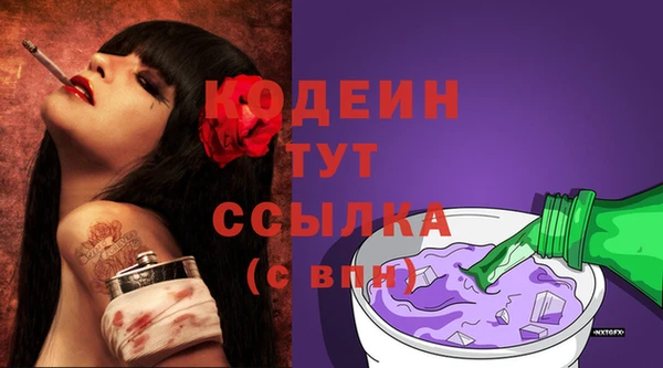 прущие грибы Гусиноозёрск