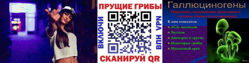 Псилоцибиновые грибы MAGIC MUSHROOMS  Купить  Новопавловск 